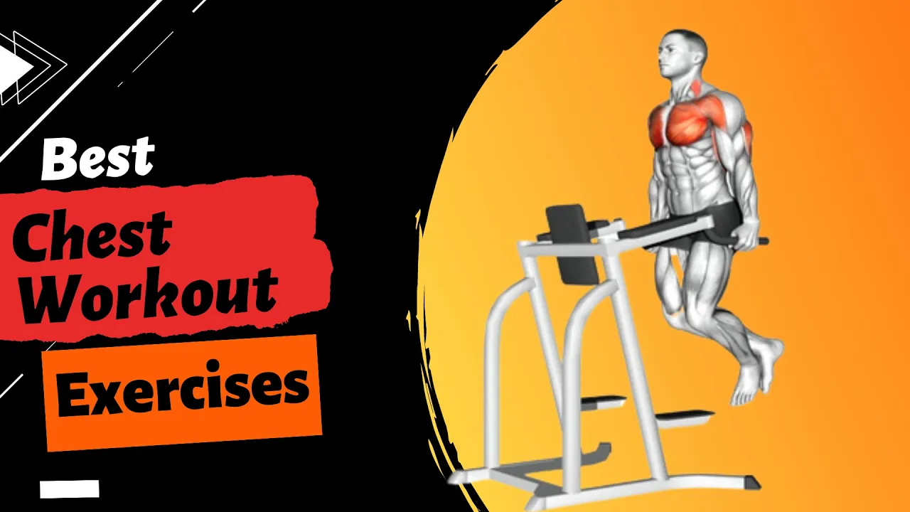 Chest Workout Exercises