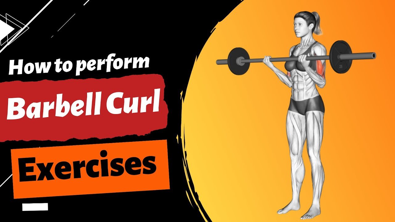 barbell curl