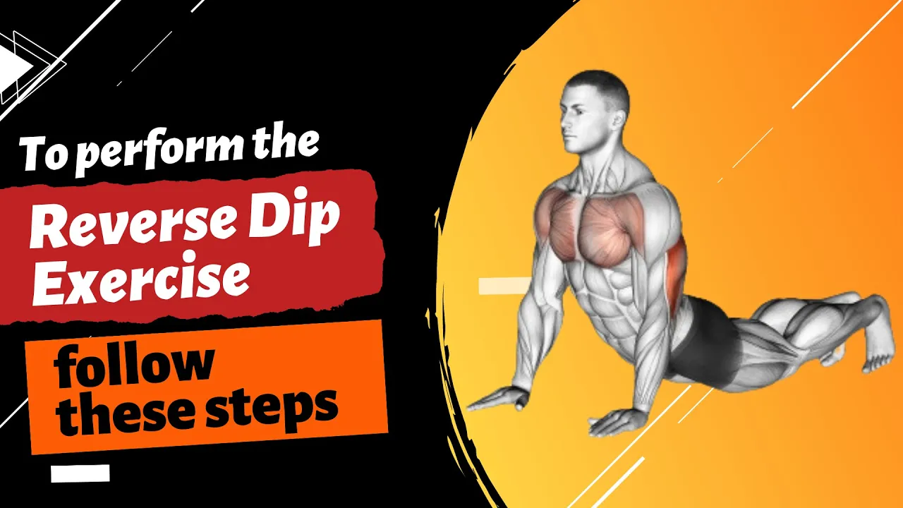 Reverse Dip Exercise