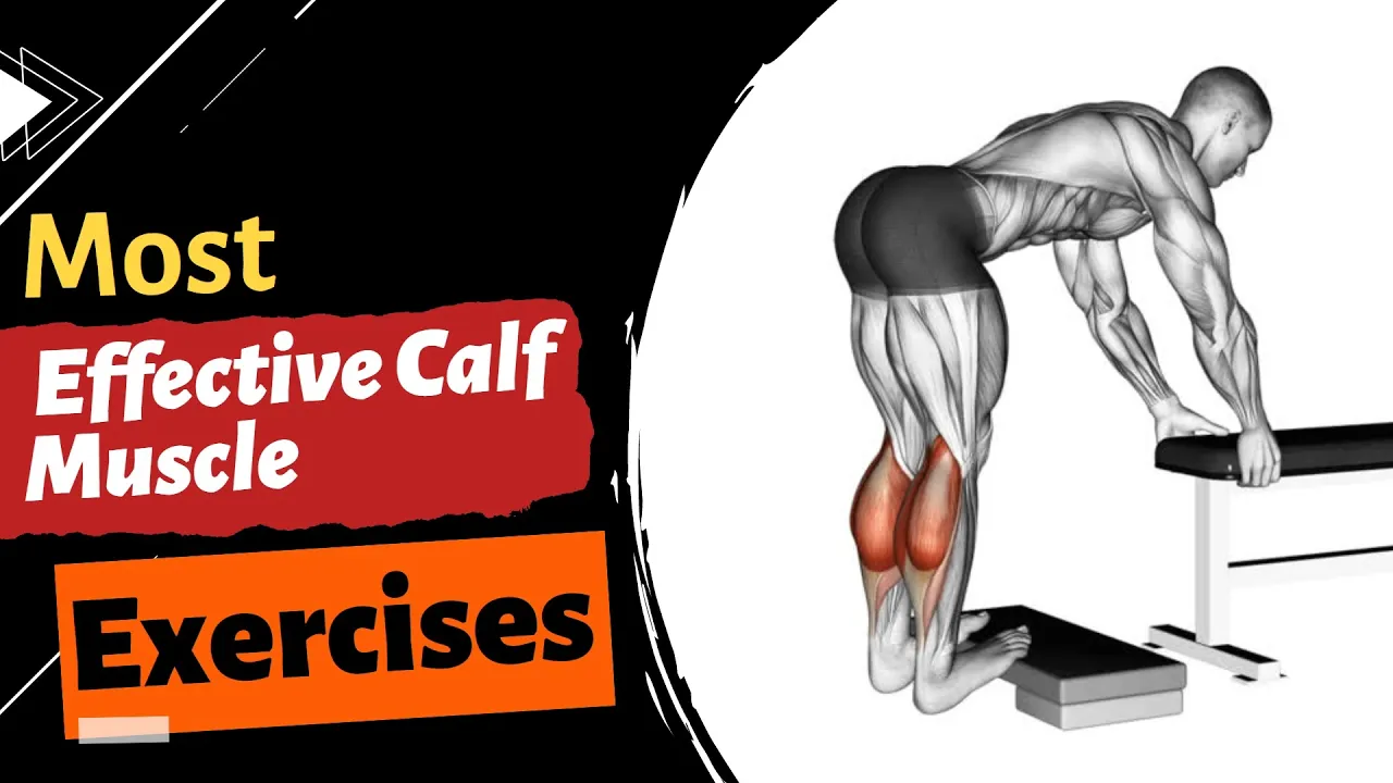 Effective Calf Muscles