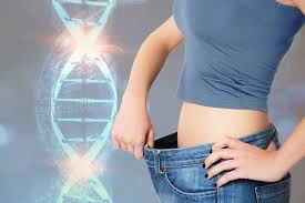 The Genetic Factors at Play in Weight Management